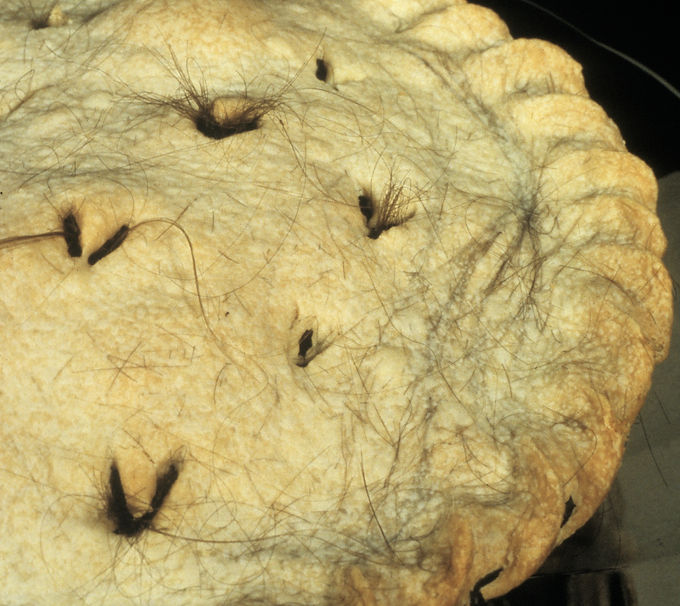 hair pie detail.jpg