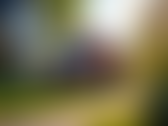 Top Tips for Residential Waste Removal Services