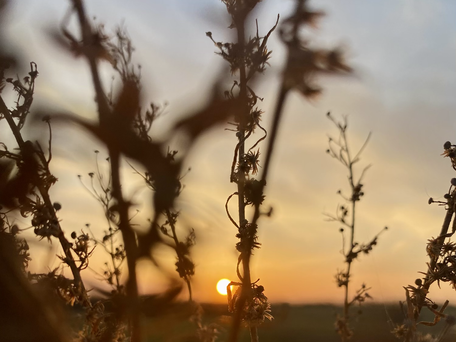 If Heaven Isn't Here, Where Is It?