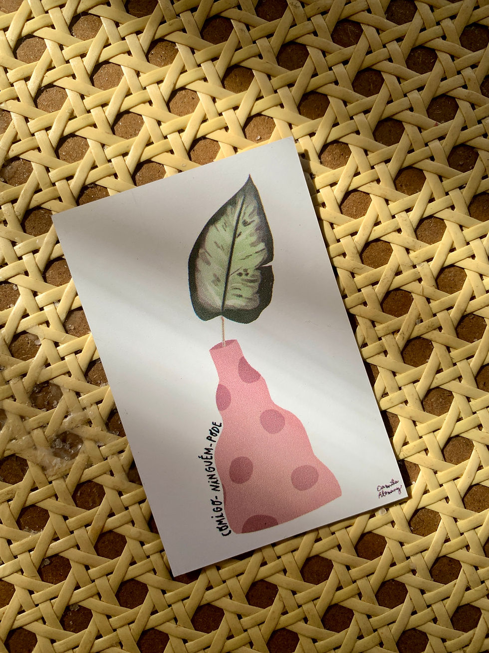 Miniatura: Set de Imanes Plantas mágicas de Brasil