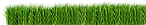 Grass Strip
