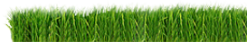 Grass Strip