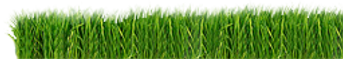 herbe Strip