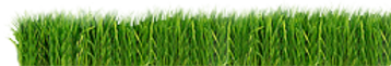 Grass Strip