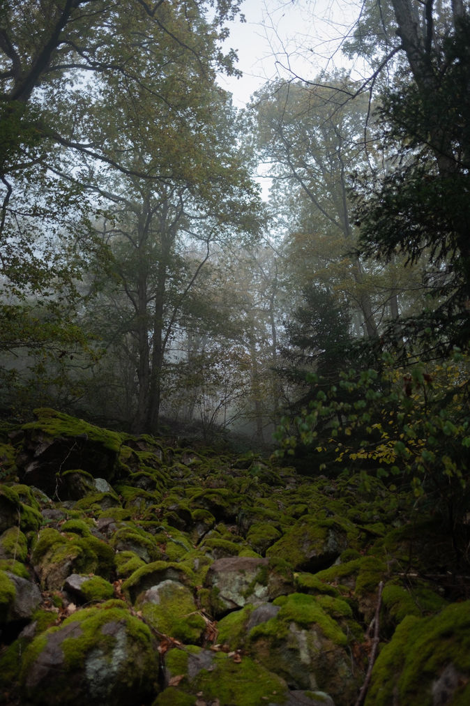 vsco61a3e03202585.jpeg