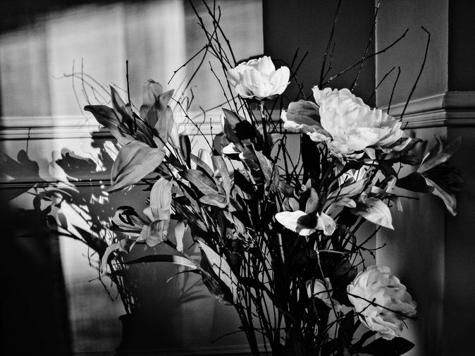 vsco5aad5e74f2583.jpeg