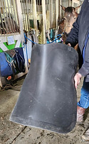 Custom Cut Saddle Pad