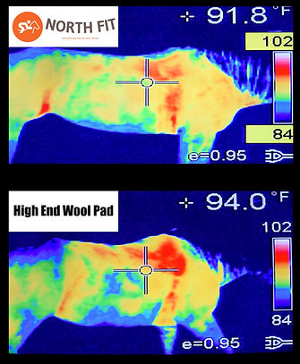 Heat Comparison.jpg