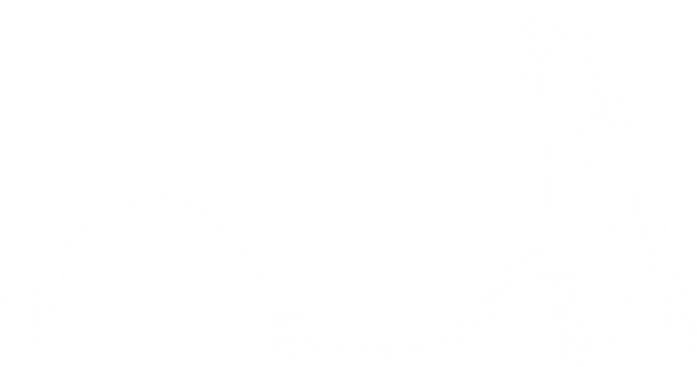 achterbahn-weiss.png