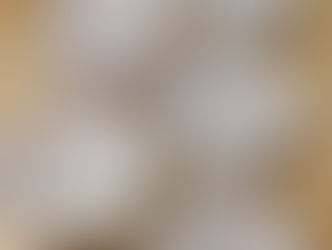 Butter Pat Dishes, what's fueling the trend?