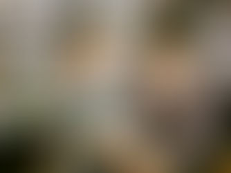 How does your eyesight relate to your focus?