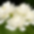 ChatGPT Image Jul 13, 2025, 09_22_47 PM.png
