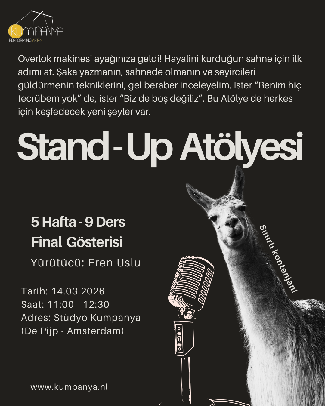 Stand-Up Atölyesi (5 Hafta - 9 Ders + Final Gösterisi) afişi