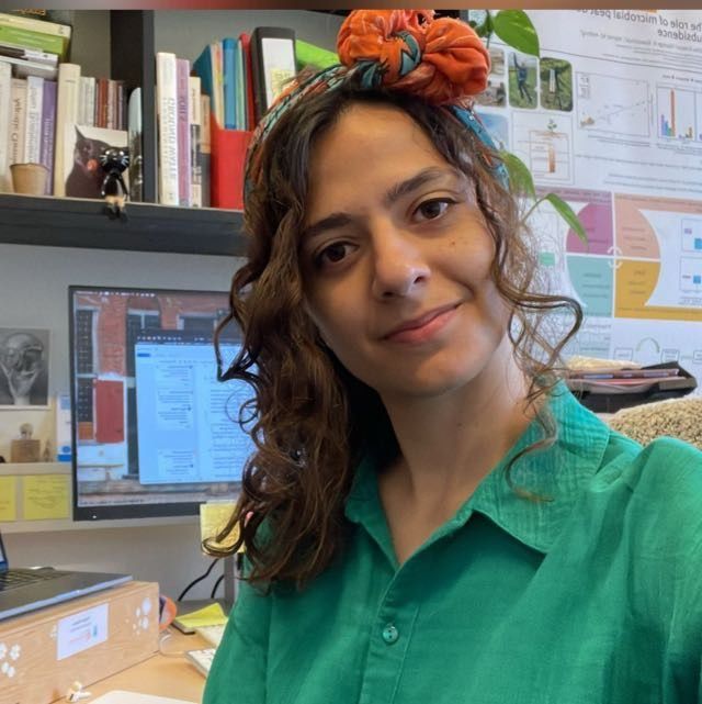 Duygu Tolunay