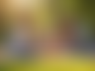 Wealth Planning Tips for Families Living Abroad