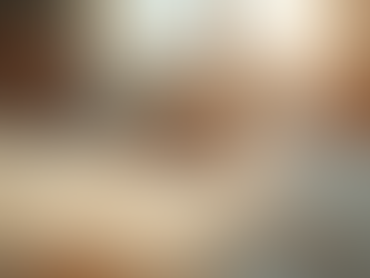 Stress-Free Low-Stress Dog Daycare Options in Bellingham