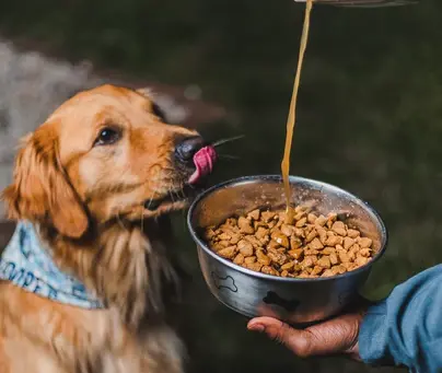 💧 Wednesday Winter Wellness Series Part 3: Winter Wellness From the Inside Out