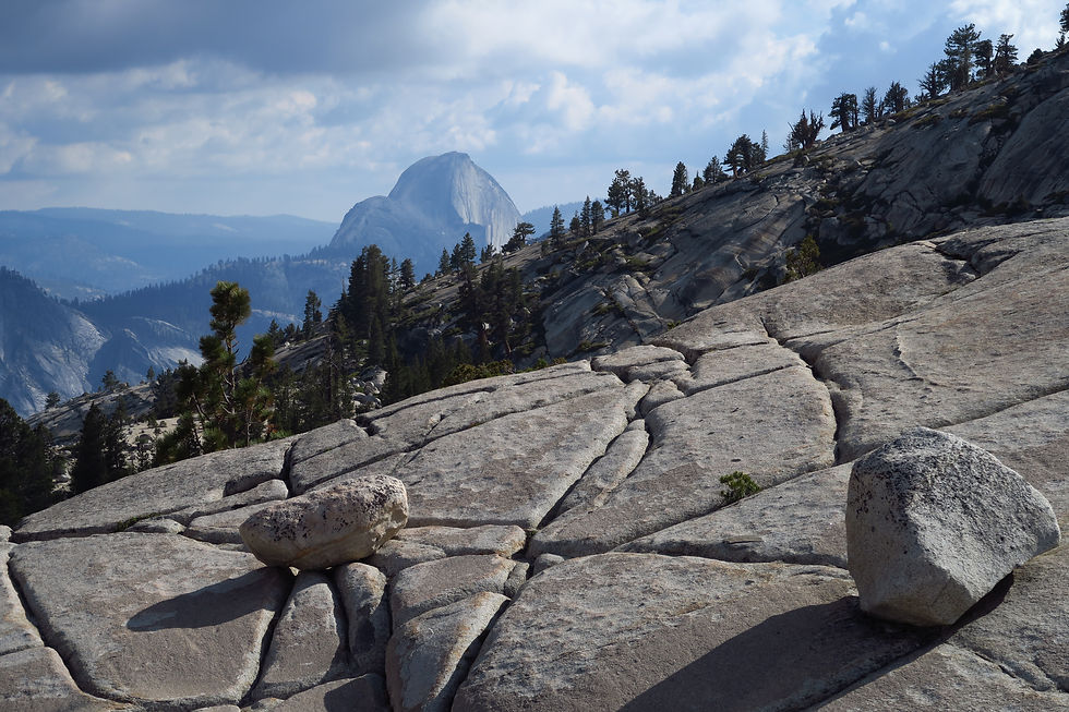 Yosemite National Park