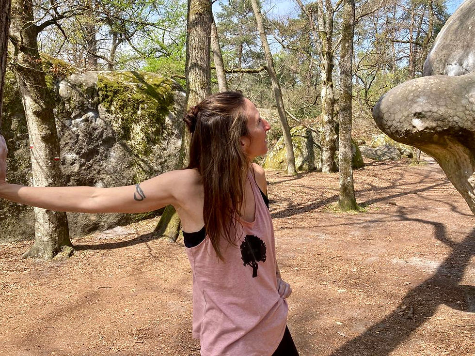 La tortue
