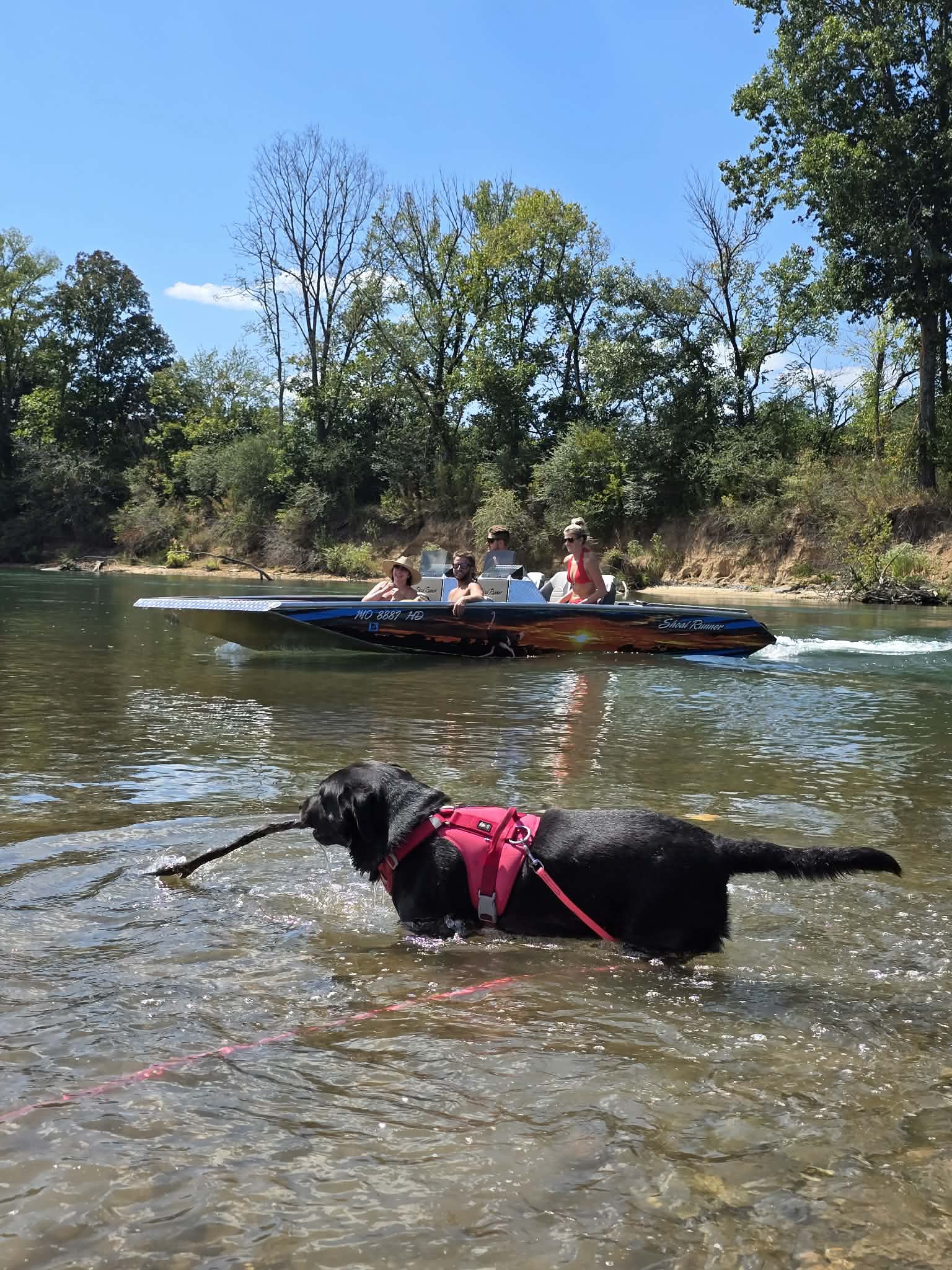 A black dog wading in the Current River with paddlers nearby.