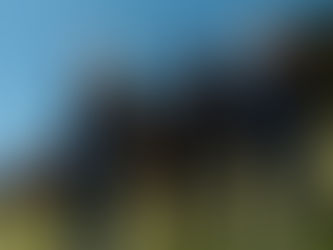 Marca catarinense Lez a Lez lança coleção de inverno inspirada nas serras brasileiras