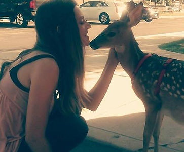 Animal elfare, Lisa Pellegrene, baby fawn, recovered, go vegan, do no harm