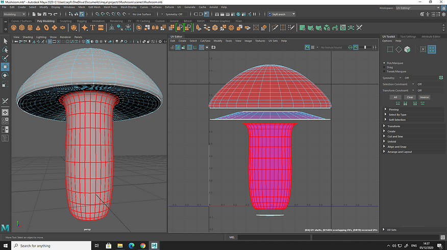 UV_Mapping -Screenshot (196).png