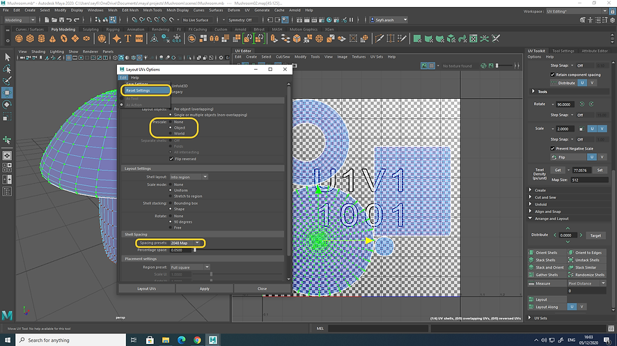 UV_Mapping - Screenshot (207).png