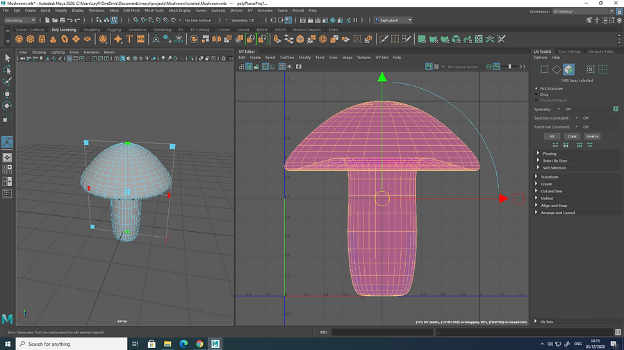 UV_Mapping -Screenshot (192).png
