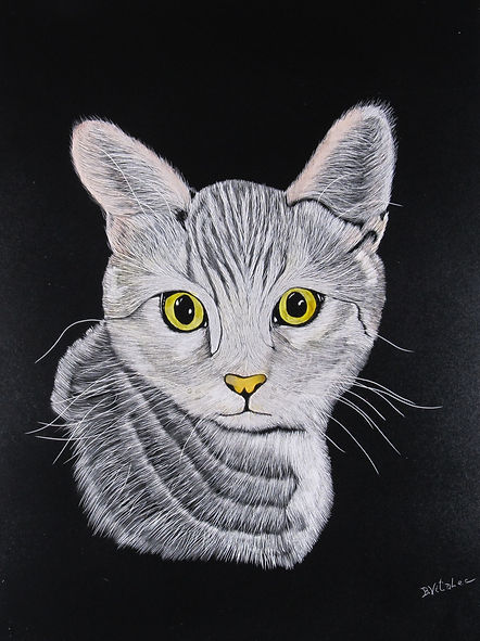 Scratchboard