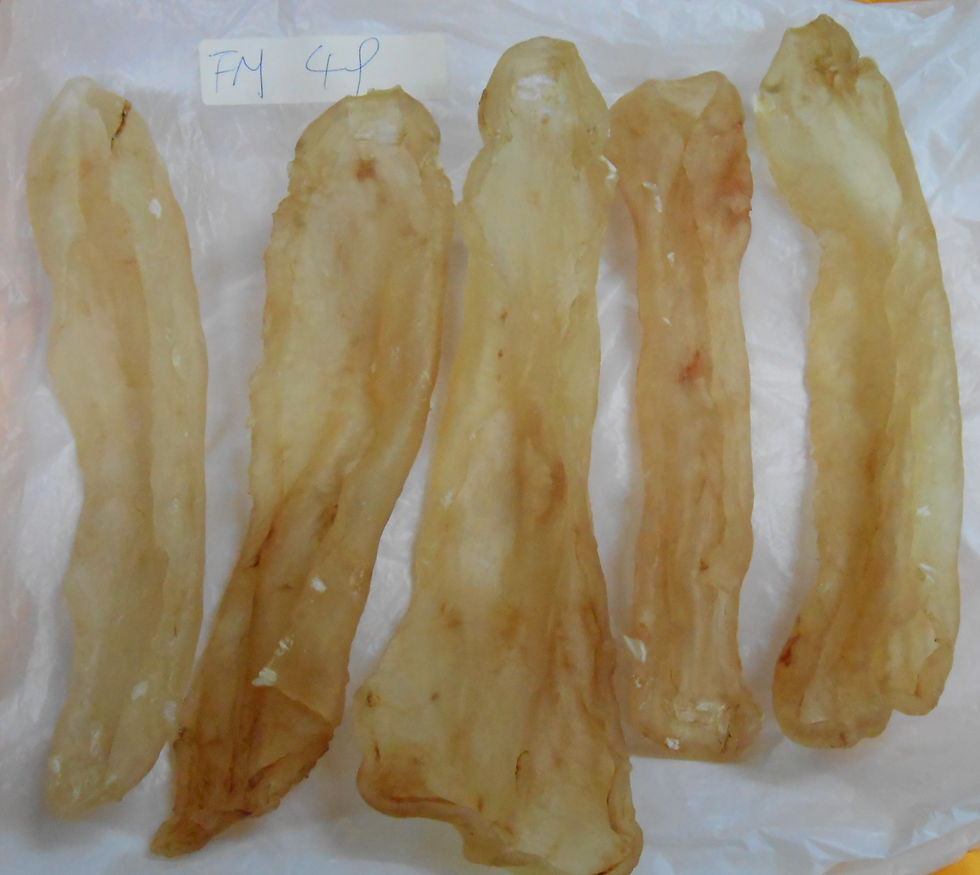 2019新西蘭花膠 , 袋號 FM49