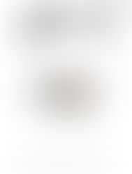 ASTEROID, V. Venturi - Recensione