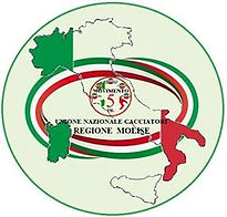 38404821_877164952482732_405419276941603