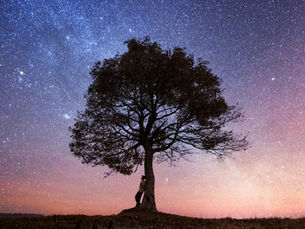 Geçmiş, bazen bir sandığın içinde saklanan mektuplar kadar sessizdir. Yasemin Doğan, Tepedeki Çınar romanında o sessizliğin kapağını aralayarak, göçle yerinden edilmiş hayatların yankısını bugüne taşıyor. Bir yandan aidiyetin anlamını, bir yandan özgürleşmenin bedelini sorguluyor, sorgulatıyor. Tepedeki Çınar’ın yazarı Doğan’la, kelimelerin kök saldığı topraklardan yola çıkıp, belleğin derin katmanlarına uzanan bir sohbet gerçekleştirdik. Kimi zaman bir türkünün yarım kalmış sesi, kimi zaman bir çınarın gölgesinde yankılanan hatıralar eşlik etti bu konuşmaya…