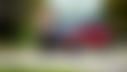 Nissan Pathfinder y Rogue se distinguen en las pruebas de resistencia de choques de la IIHS