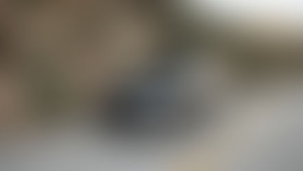 Nueva MDX se posiciona como el modelo insignia de Acura