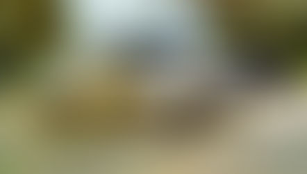 Superhéroes Porsche recaudan más de $30,000 para la distrofia muscular en Puerto Rico