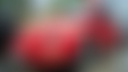 Se Presenta el Primer Auto Show "¿Cuántos Somos?" en Puerto Rico para Fanáticos de Volkys y Volkswagens