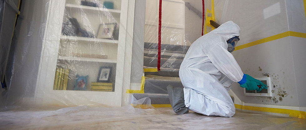 mold-remediation-slide.jpeg