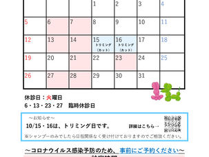 2025年10月の診察について