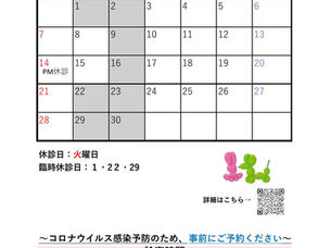 2026年6月  診察・トリミングについて