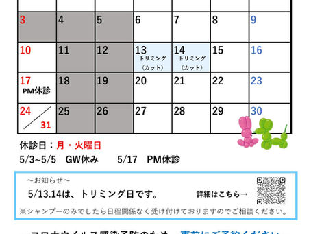 2026年5月の診察について