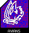 AJRN DDICE2 race tile AVIAN copy.png