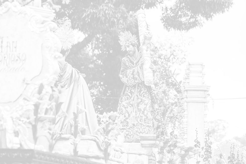 Fondo Nuevo Login.jpg