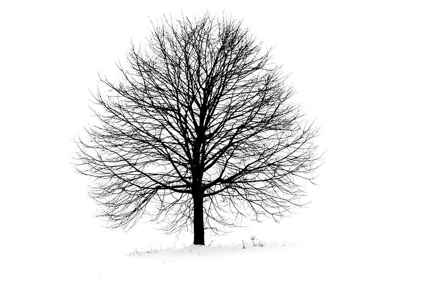 fabrice-villard-Jrl_UQcZqOc-unsplash_edi