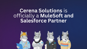 We are an Official MuleSoft and Salesforce Partner!