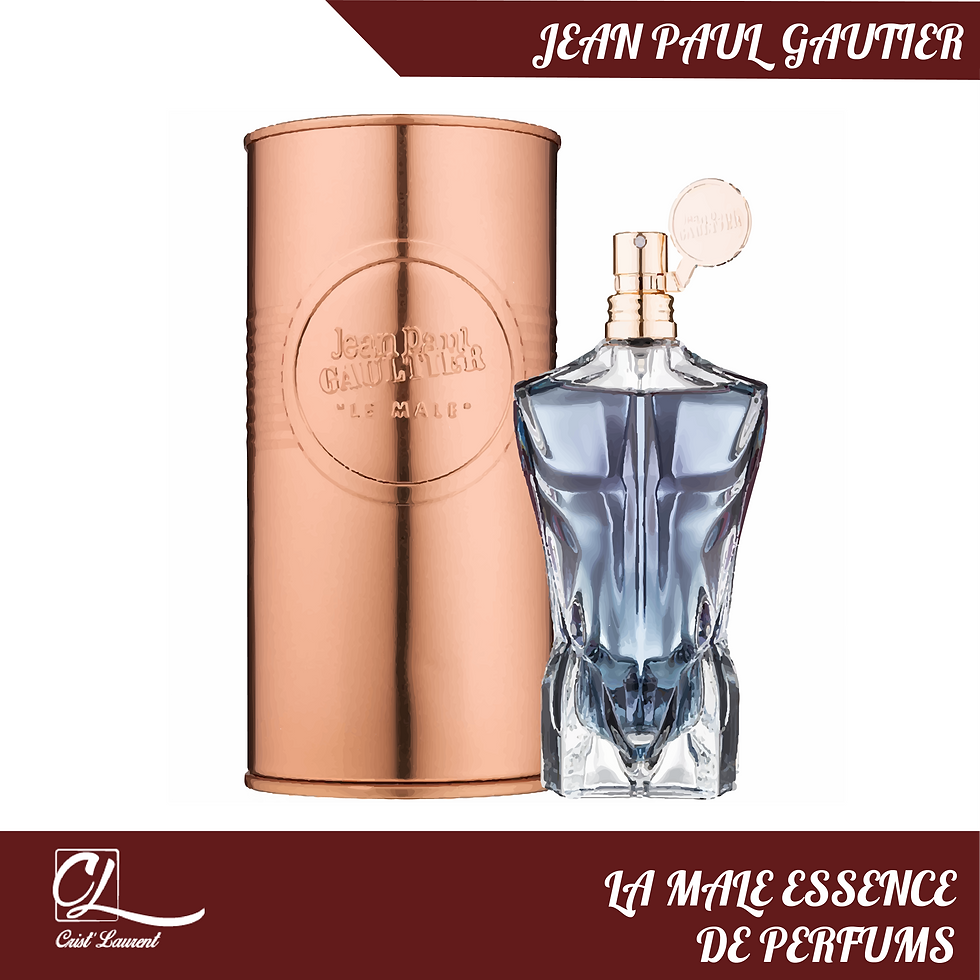 Le Male Essence de Parfum de Jean Paul Gaultier x 125ml