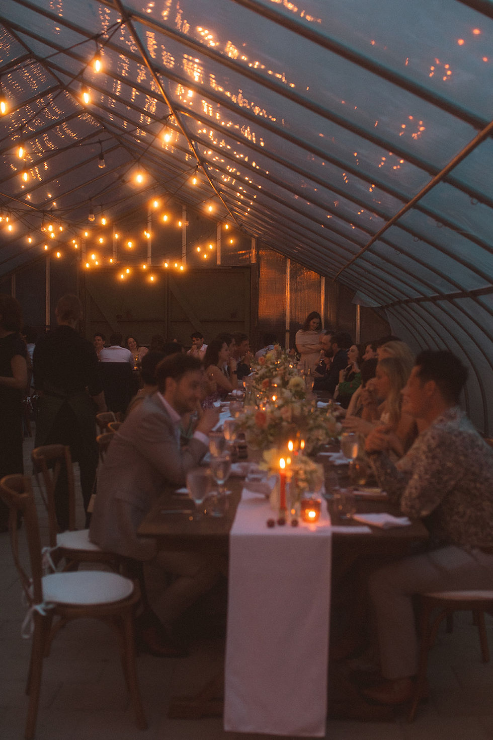 reception with twinkling lights and florals at The Herb Lyceum in Groton, MA