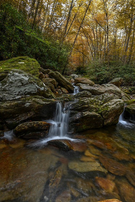 Jittery Knees copy.jpg