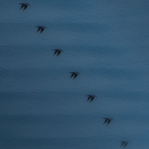 Six and Three Quarters copy.jpg